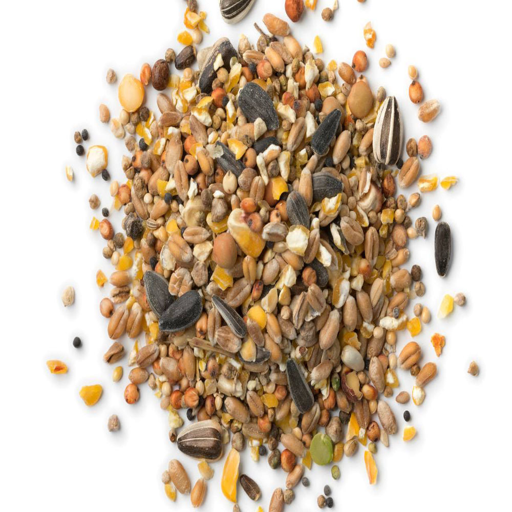 Bird Food