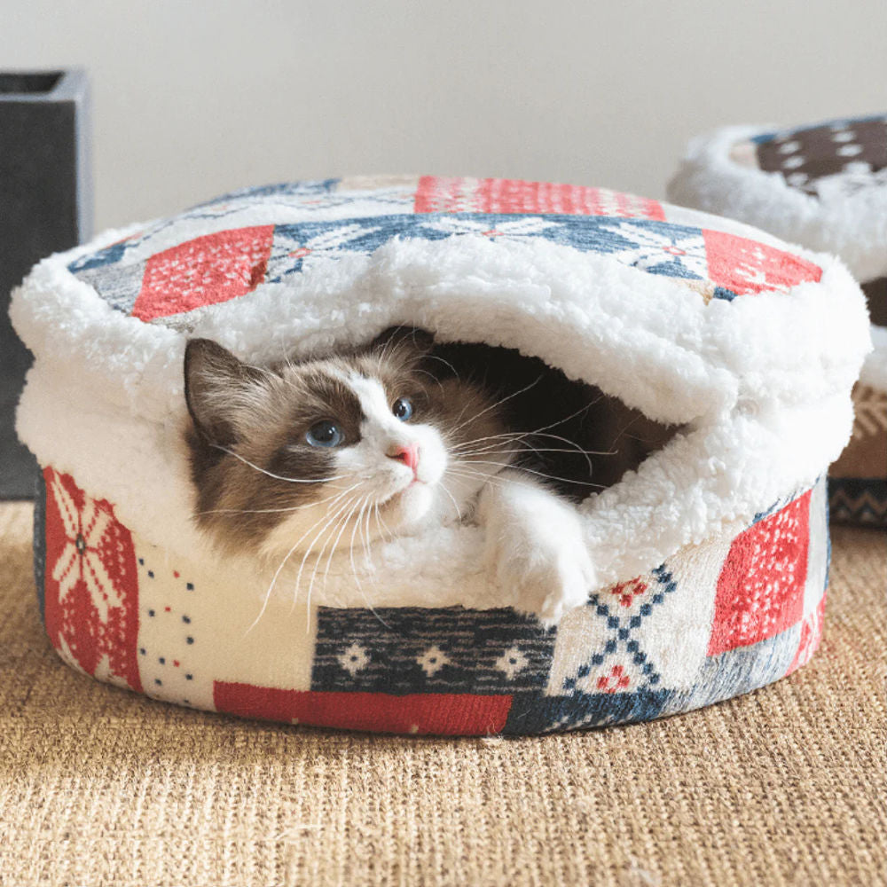 Cat Beds and Comfort