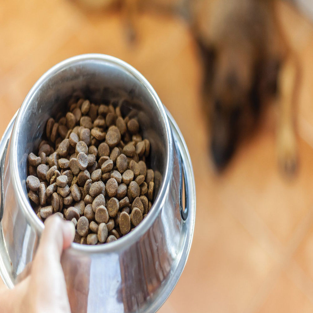 Dog Dry Food