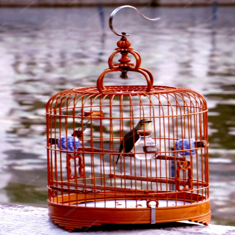 Bird Cages