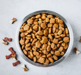 Dog Food