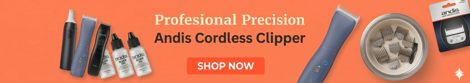 Promo Banner
