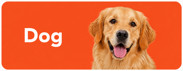 Promo Banner