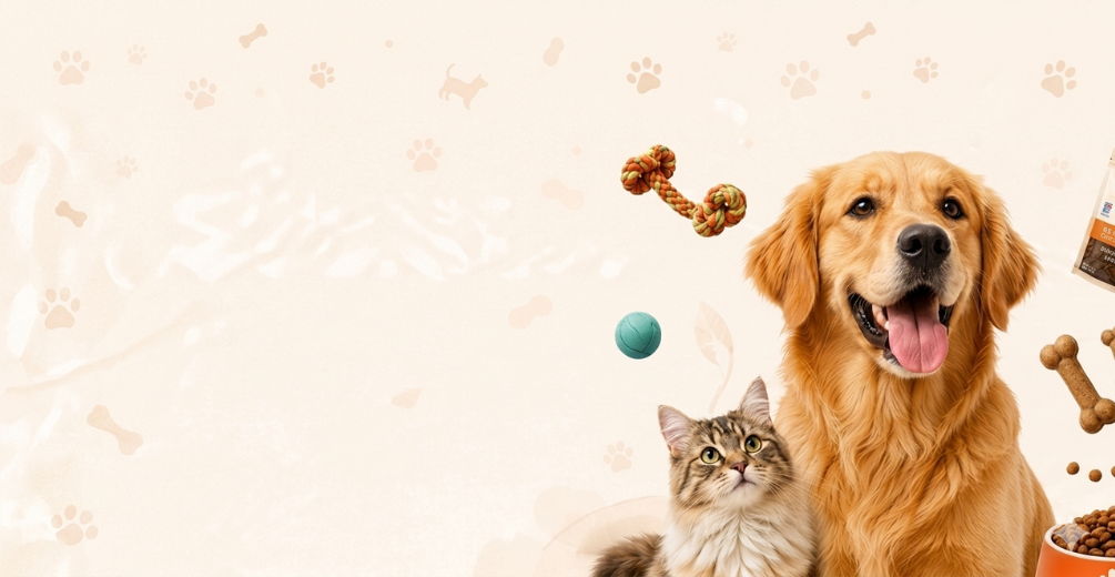 Hero Showcase Pet