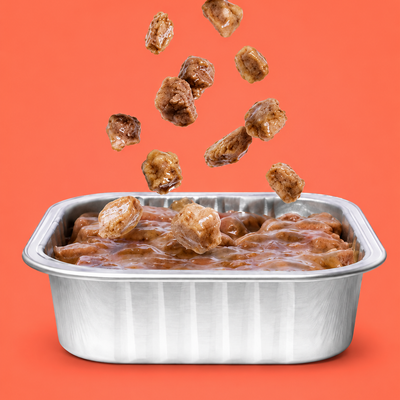 Wet Food